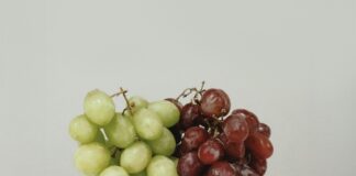 貓狗誤食葡萄可能導致急性腎衰竭！寵物誤食葡萄的症狀與治療