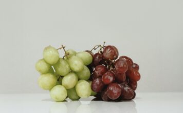 貓狗誤食葡萄可能導致急性腎衰竭!寵物誤食葡萄的症狀與治療 貓狗誤食葡萄可能導致急性腎衰竭!寵物誤食葡萄的症狀與治療