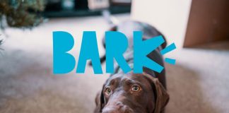 BARK公司公布2025財年第一季度財報