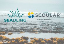 Scoular與SEADLING推出發酵乾燥海藻粉
