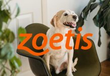 Zoetis 2024年Q2財報亮眼