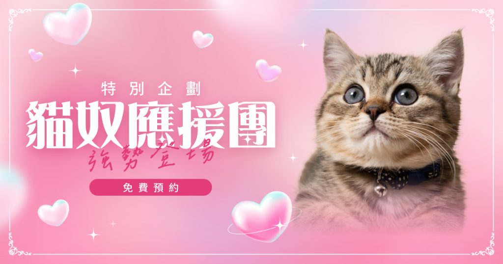 貓奴應援團活動首次亮相，參加的民眾完成指定任務，就可以把神秘好禮帶回家