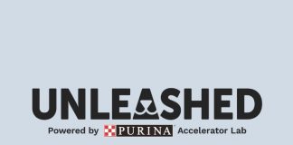 Purina opens applications for Unleashed 2025 accelerator