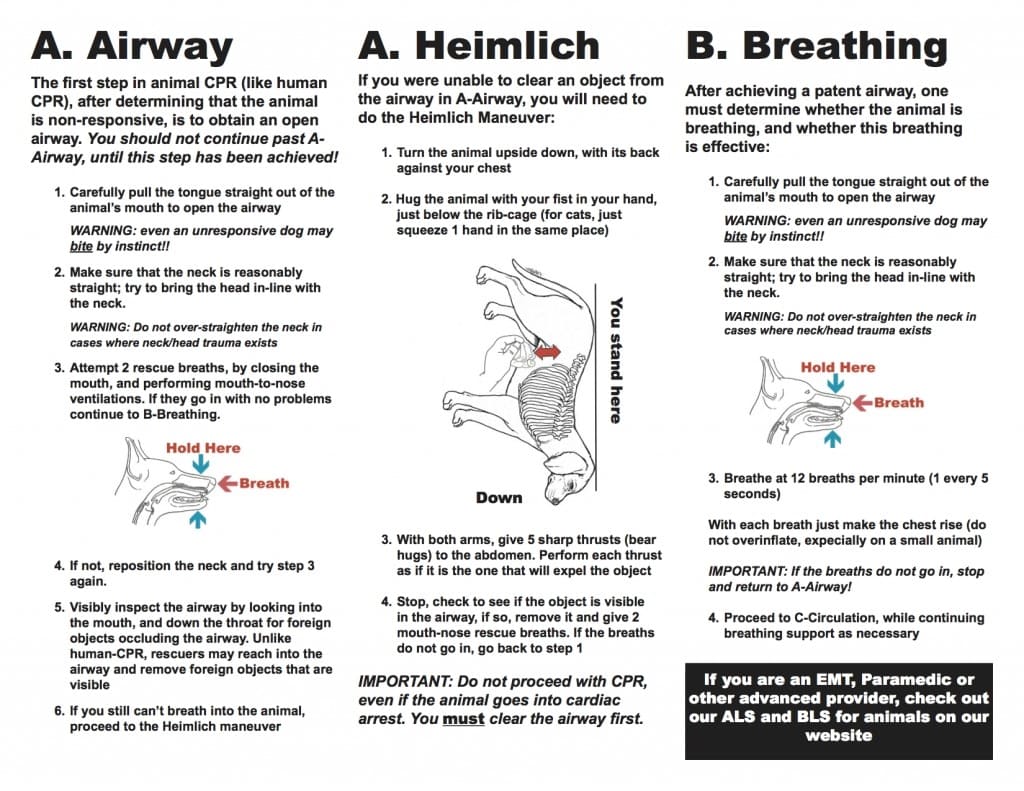Pet CPR skill