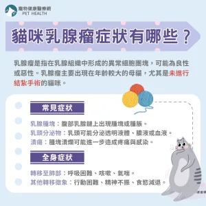 貓咪乳腺瘤症狀有哪些？