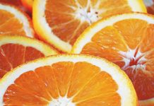 Can Dogs Eat Oranges