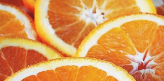 Can Dogs Eat Oranges