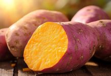 Can Dogs Eat Sweet Potatoes