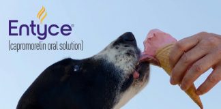 Entyce® （Capromorelin）