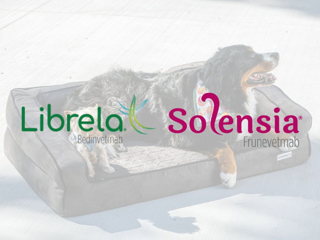 bedinvetmab and frunevetmab led to a significant improvement in the QOL of dogs and cats