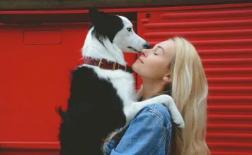 共建動物友善環境，落實照護指南