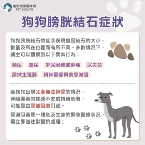 狗狗膀胱結石症狀