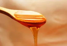貓咪可以吃蜂蜜嗎？天然蜂蜜與醫用蜂蜜對貓咪健康的影響