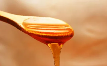 貓咪可以吃蜂蜜嗎？天然蜂蜜與醫用蜂蜜對貓咪健康的影響