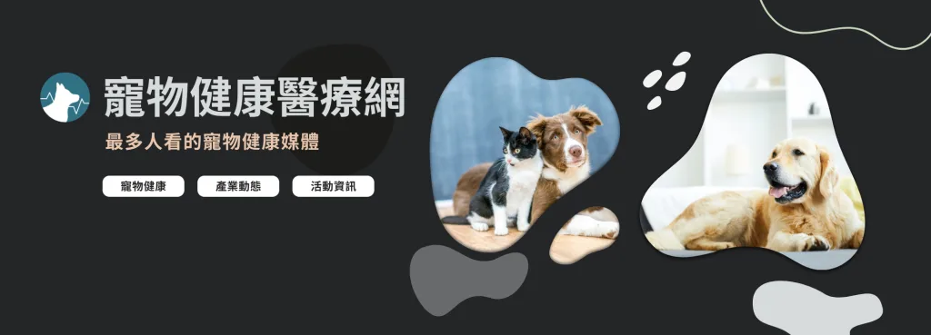 寵物健康醫療網精準SEO策略,帶動流量持續增長