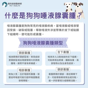什麼是狗狗唾液腺囊腫？
