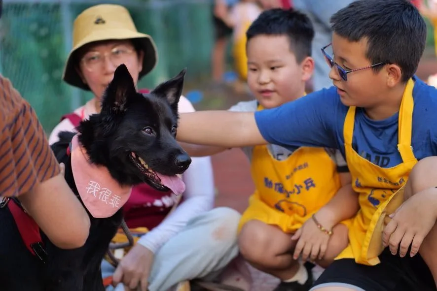 孩子與毛寶貝親密互動接觸（圖片來源：新北市政府動物保護防疫處）