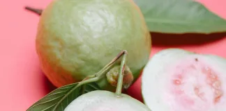 狗狗可以吃芭樂嗎？芭樂的營養成分與餵食注意事項