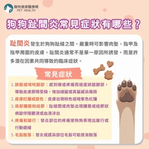 狗狗趾間炎常見症狀有哪些？