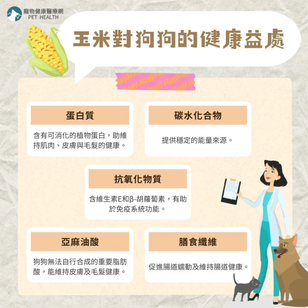 玉米對狗狗的健康益處