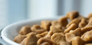美國寵物食品協會獲1.65億美元資助，推廣美國寵物食品至全球新興市場