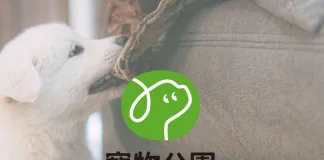 萬達寵物法說會重點：2025年總倉計劃助提升運營效率
