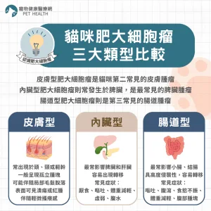 貓咪肥大細胞瘤三大類型比較