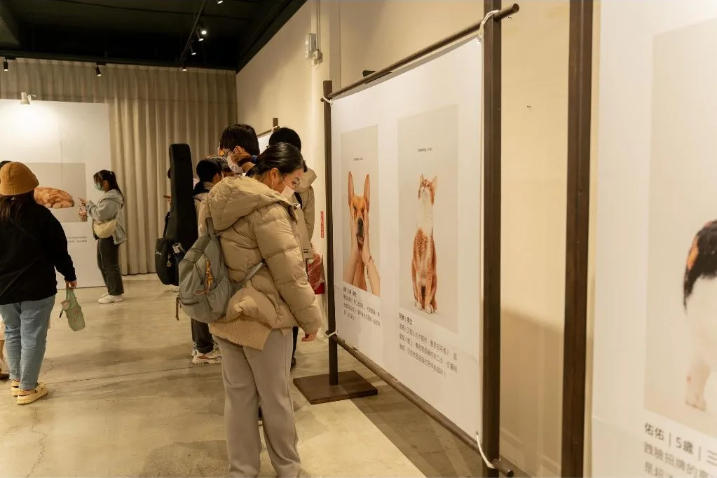 「Something Studio三牲工作室」於活動現場開設流浪動物攝影展,以溫暖的影像記錄流浪動物的故事。
