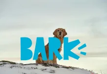 BARK第四季度財報出爐！多元布局如何驅動穩定增長？