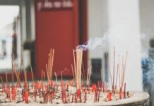 哪裡可以幫寵物點光明燈?點光明燈要準備什麼? 哪裡可以幫寵物點光明燈?點光明燈要準備什麼?