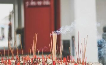 哪裡可以幫寵物點光明燈?點光明燈要準備什麼? 哪裡可以幫寵物點光明燈?點光明燈要準備什麼?