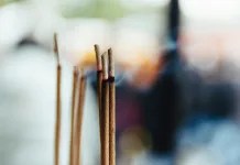 哪些宮廟有提供寵物收驚服務？寵物收驚有哪些注意事項？
