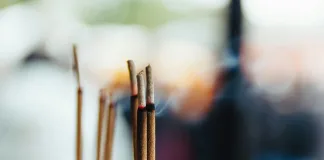 哪些宮廟有提供寵物收驚服務？寵物收驚有哪些注意事項？