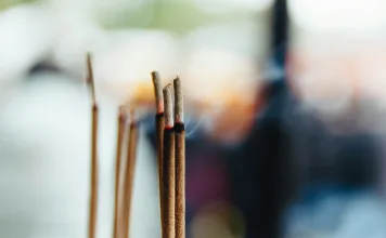 哪些宮廟有提供寵物收驚服務？寵物收驚有哪些注意事項？