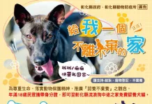 彰化縣認養公立動物收容所犬隻 提供終身免費疫苗注射及血液檢查服務活動開跑