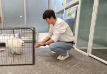 挑選家中毛寶貝適合住宿的空間（圖片來源：新北市動物保護防疫處）
