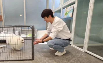 挑選家中毛寶貝適合住宿的空間（圖片來源：新北市動物保護防疫處）