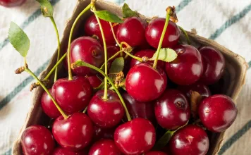 狗狗可以吃櫻桃嗎