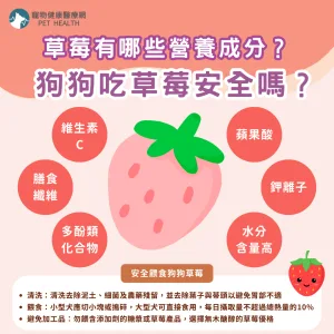 草莓對狗狗的健康益處