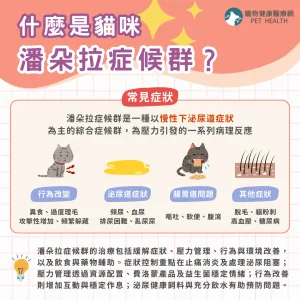 貓咪潘朵拉症候群是什麼？