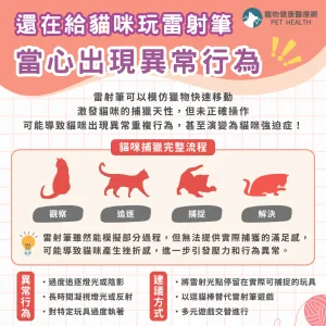貓咪玩雷射筆異常行為
