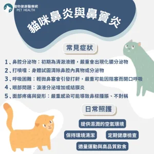 貓咪鼻炎與鼻竇炎症狀