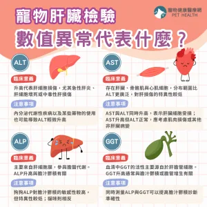 貓狗肝臟檢驗數值異常代表什麼？