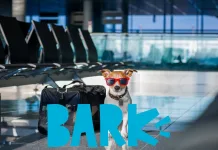 BARK 2025 Q3 財報出爐，股價大跌 7.9%！市場擔憂訂閱業務與現金流壓力