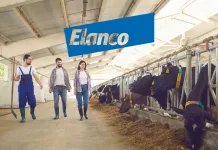 Elanco 2024 財報出爐：創新產品推動成長，但能否挑戰 Zoetis領先地位？