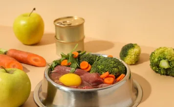 犬貓營養大不同！犬貓蛋白質與胺基酸需求指南