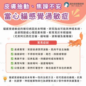 什麼是貓感覺過敏症？