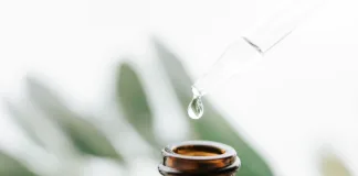 天然精油也能幫助狗狗驅蟲？這5種天然精油能有效對抗跳蚤與壁蝨，幫助狗狗遠離寄生蟲