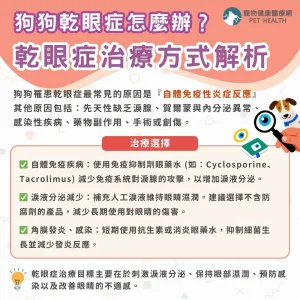狗狗乾眼症治療方式有哪些？