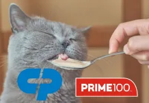 高露潔棕欖收購澳洲高端寵物食品品牌 Prime100，強化科學營養布局